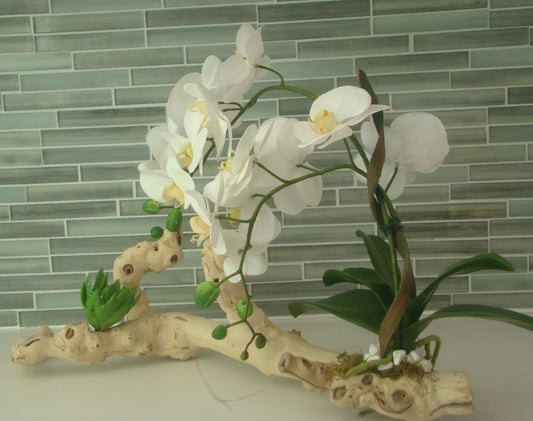 Real Touch Orchid on 23" Driftwood