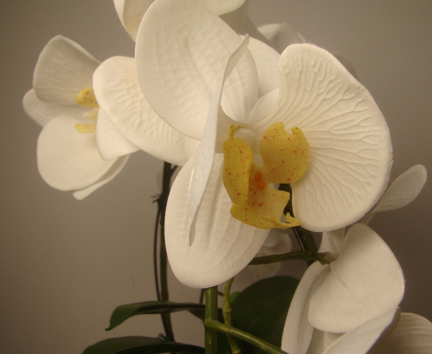 Real Touch Double Orchids in Gold and Cream Ceramic Vase