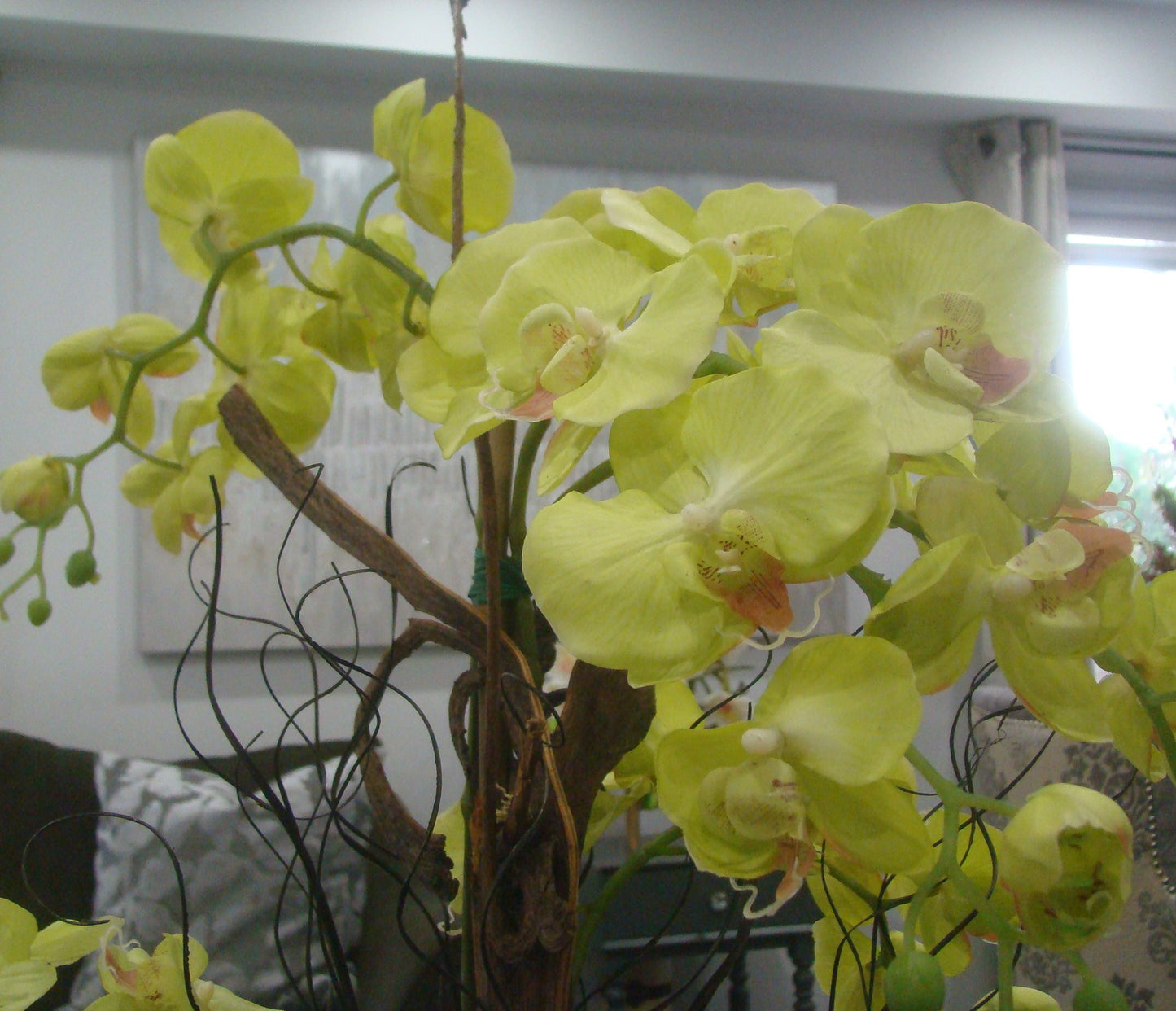 Real Touch Light Green P Orchid In Moss and Gold Bowl