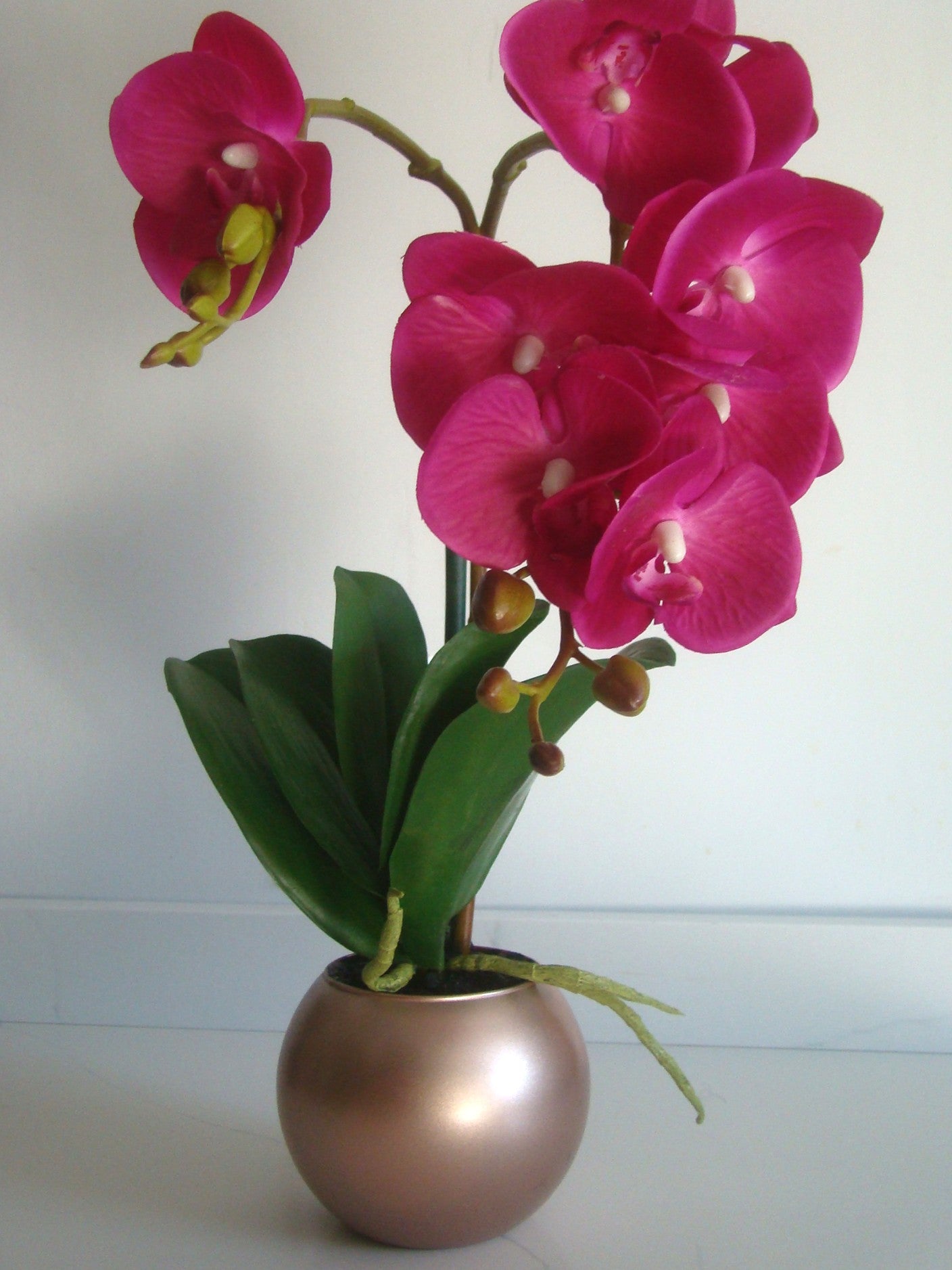 Real Touch Phalaenopsis Orchid