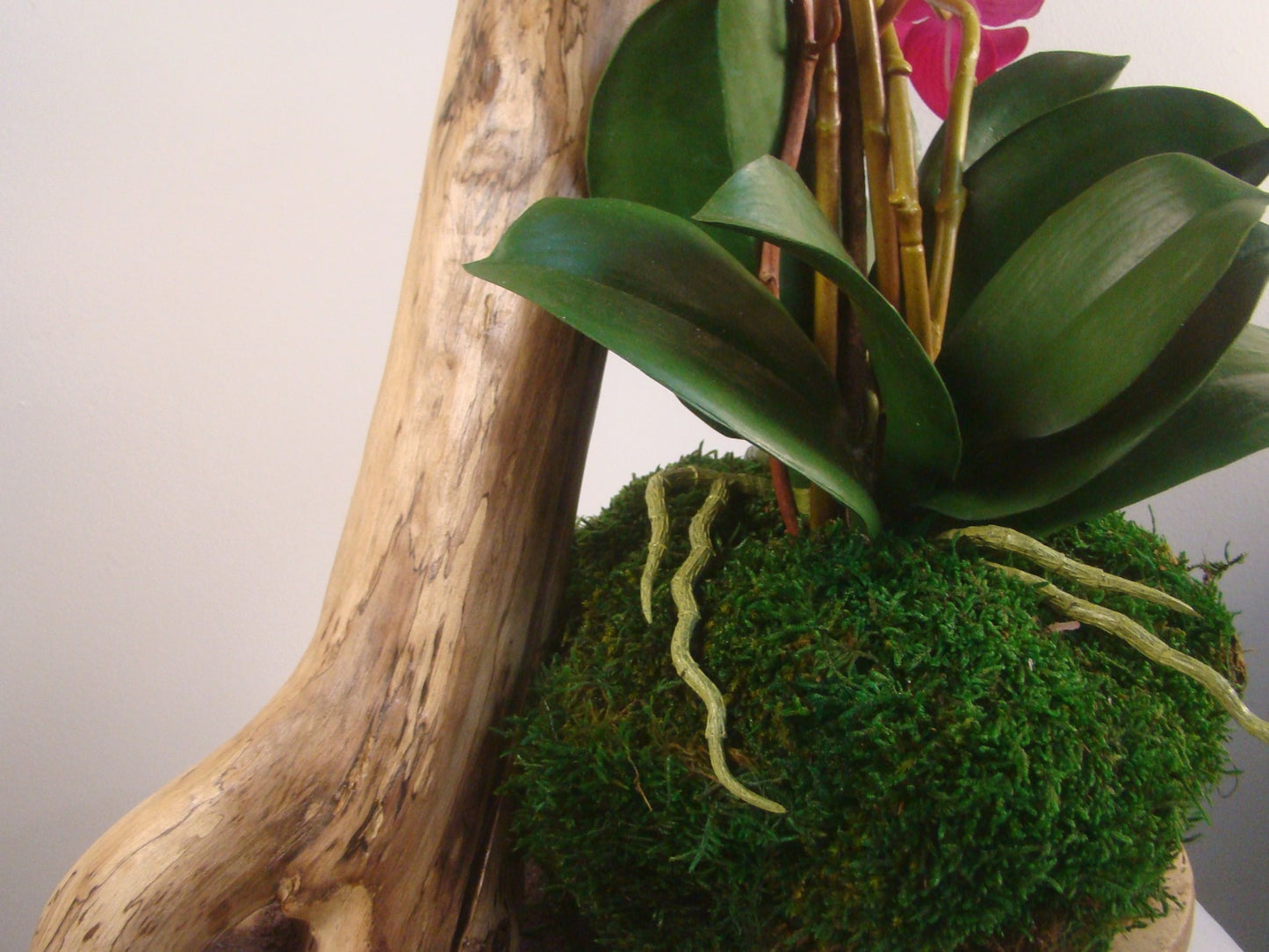 Real Touch Pink Orchids with Moss in Oval Wood Bowl