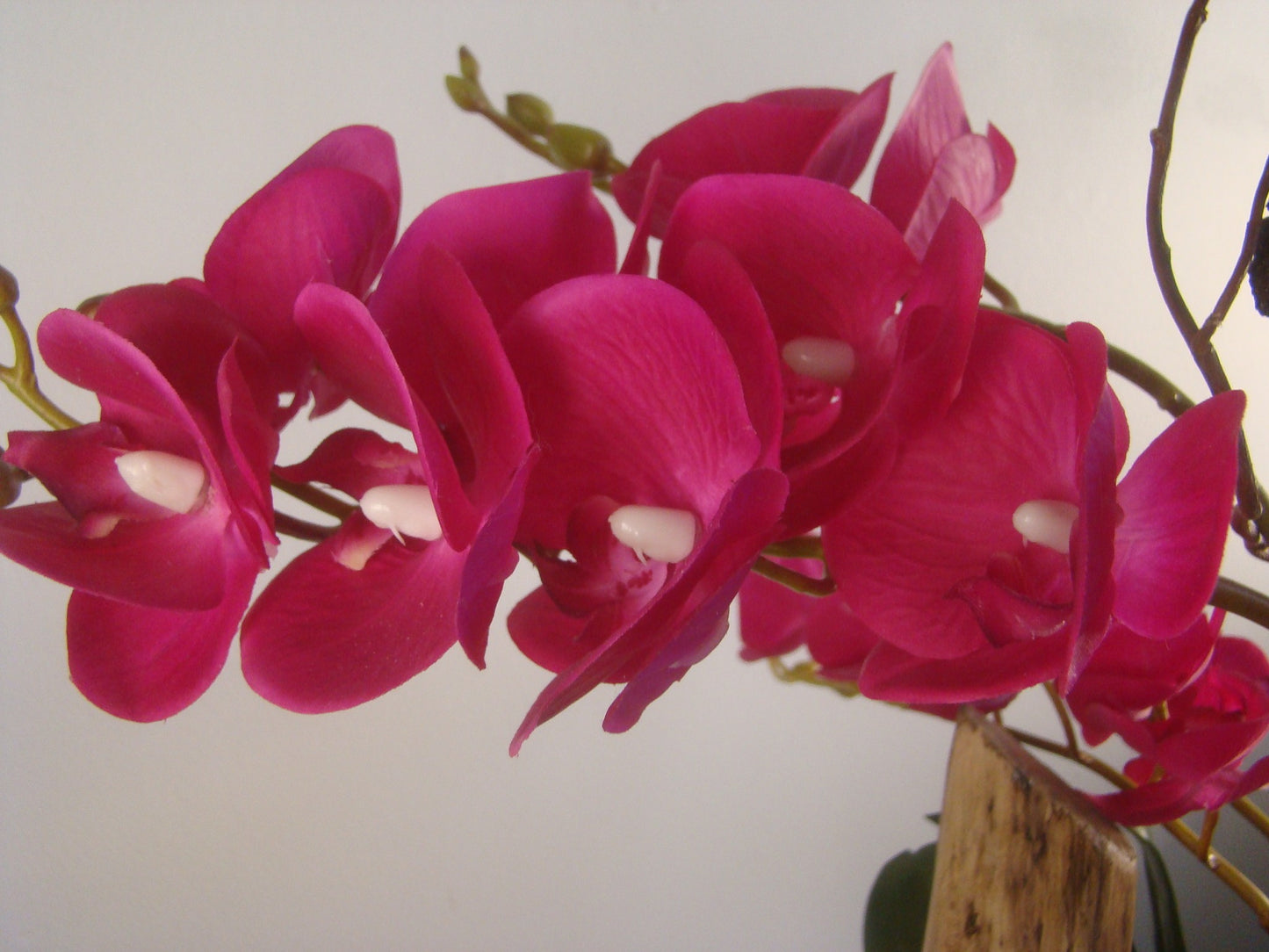 Real Touch Pink Orchids with Moss in Oval Wood Bowl