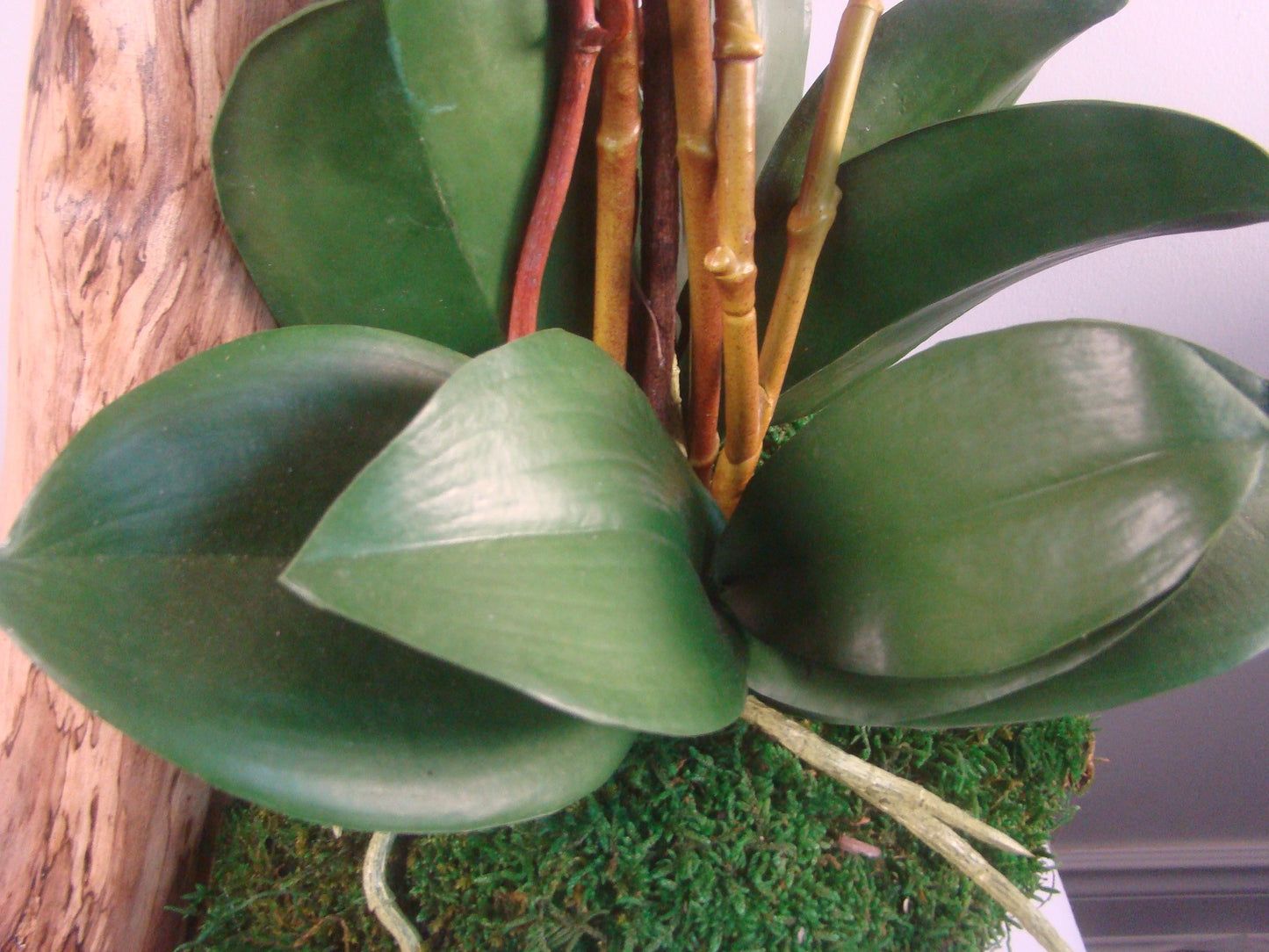 Real Touch Pink Orchids with Moss in Oval Wood Bowl